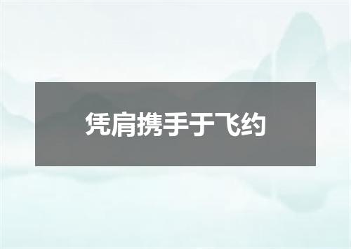 凭肩携手于飞约