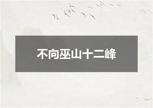 不向巫山十二峰