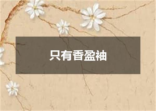 只有香盈袖
