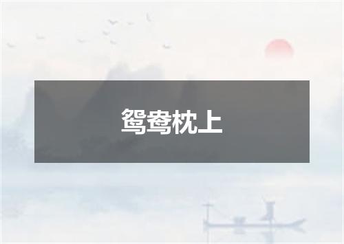 鸳鸯枕上
