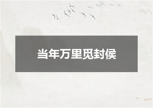 当年万里觅封侯