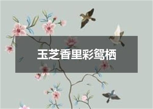 玉芝香里彩鸳栖