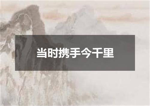 当时携手今千里
