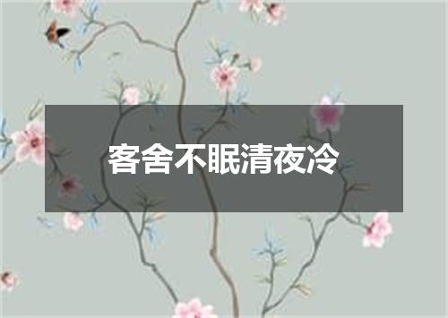 客舍不眠清夜冷
