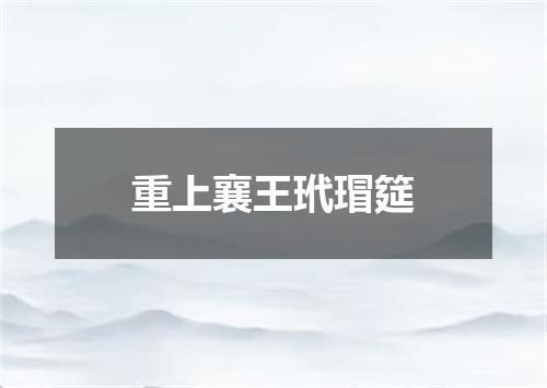 重上襄王玳瑁筵