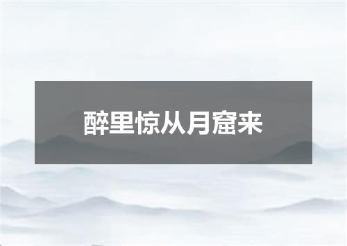 醉里惊从月窟来