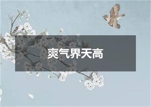 爽气界天高