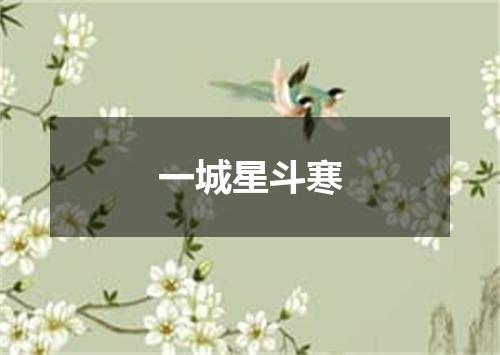 一城星斗寒