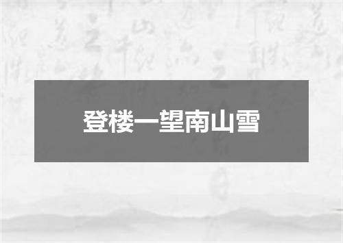 登楼一望南山雪