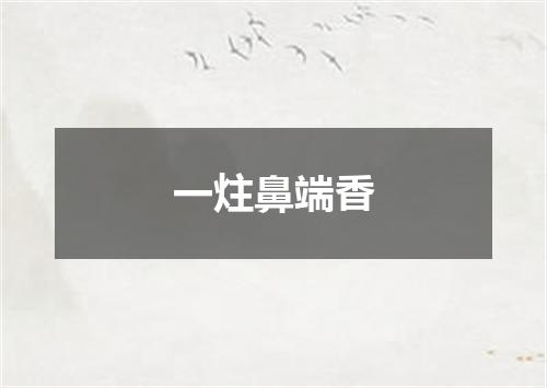 一炷鼻端香