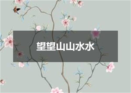 望望山山水水