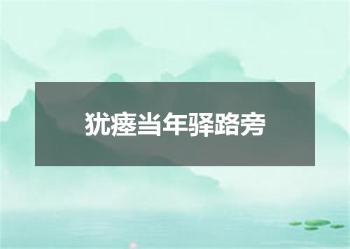 犹瘗当年驿路旁