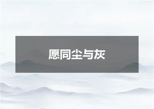 愿同尘与灰