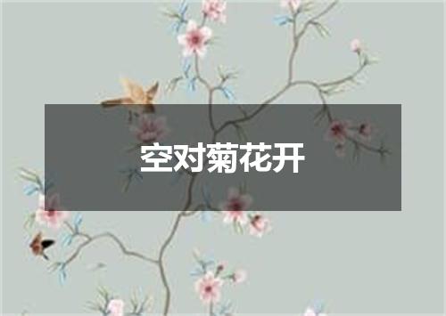 空对菊花开