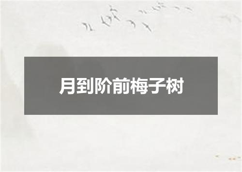 月到阶前梅子树