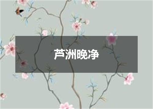 芦洲晚净