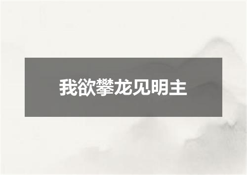 我欲攀龙见明主