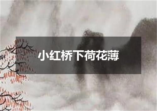 小红桥下荷花薄