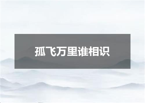 孤飞万里谁相识