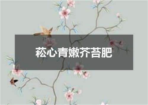 菘心青嫩芥苔肥