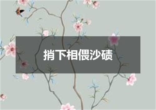 捎下相偎沙碛