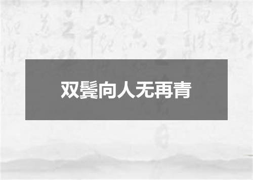 双鬓向人无再青