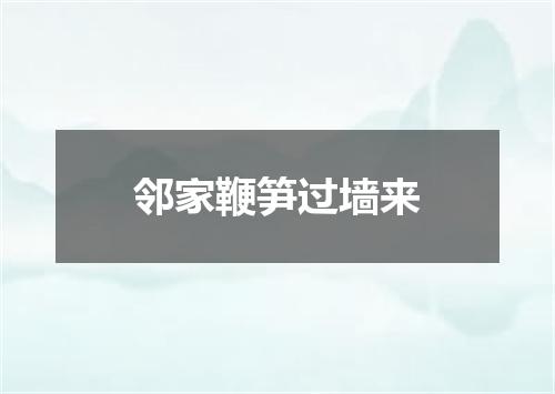 邻家鞭笋过墙来