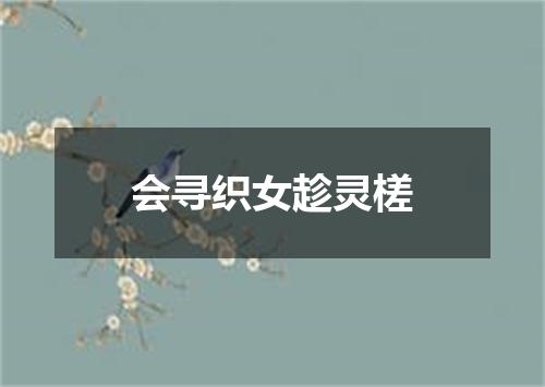 会寻织女趁灵槎
