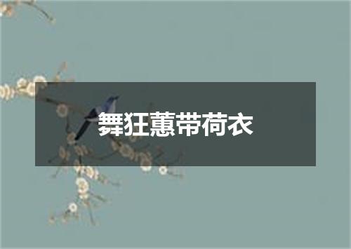 舞狂蕙带荷衣