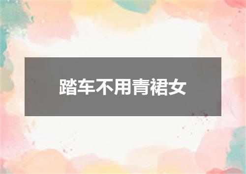 踏车不用青裙女