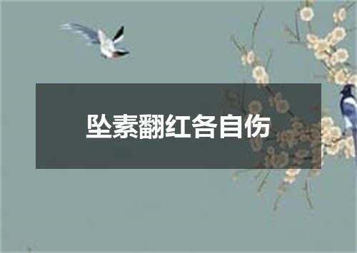 坠素翻红各自伤