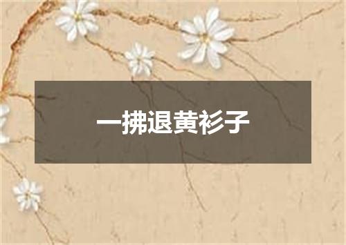 一拂退黄衫子