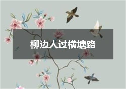 柳边人过横塘路