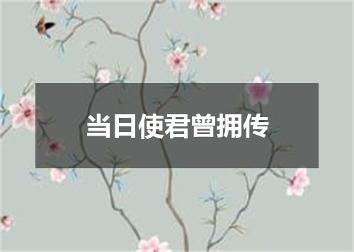 当日使君曾拥传