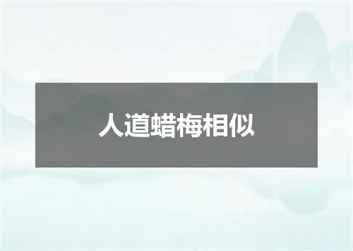 人道蜡梅相似