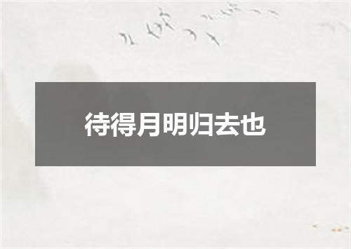 待得月明归去也