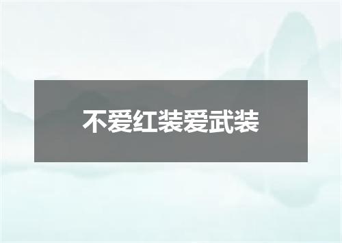 不爱红装爱武装