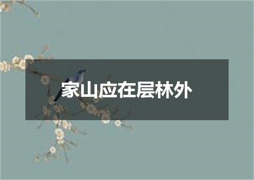 家山应在层林外