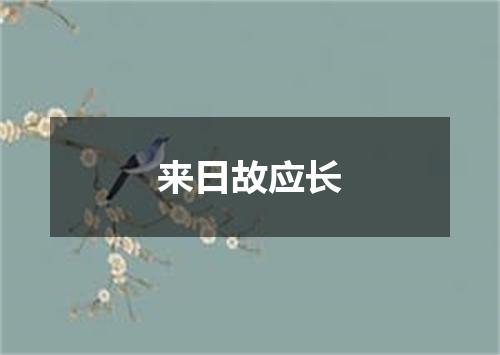 来日故应长