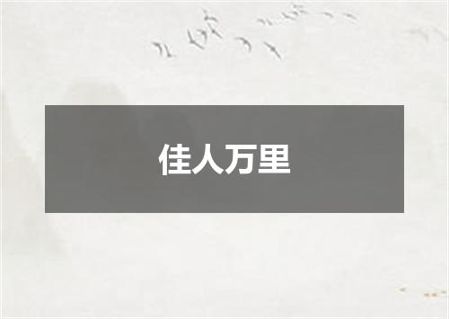 佳人万里