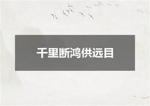 千里断鸿供远目