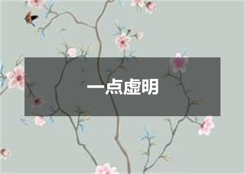 一点虚明