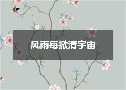 风雨每掀清宇宙