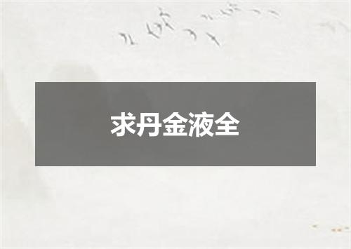 求丹金液全