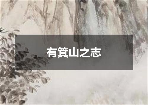 有箕山之志