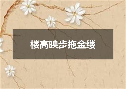 楼高映步拖金缕
