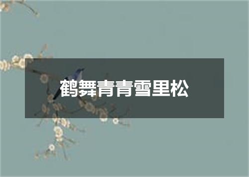 鹤舞青青雪里松