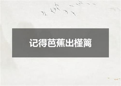 记得芭蕉出槿篱