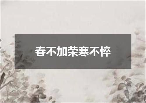 春不加荣寒不悴