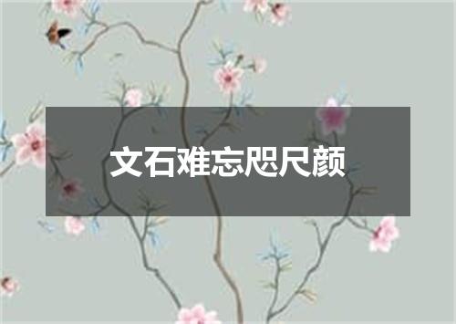 文石难忘咫尺颜